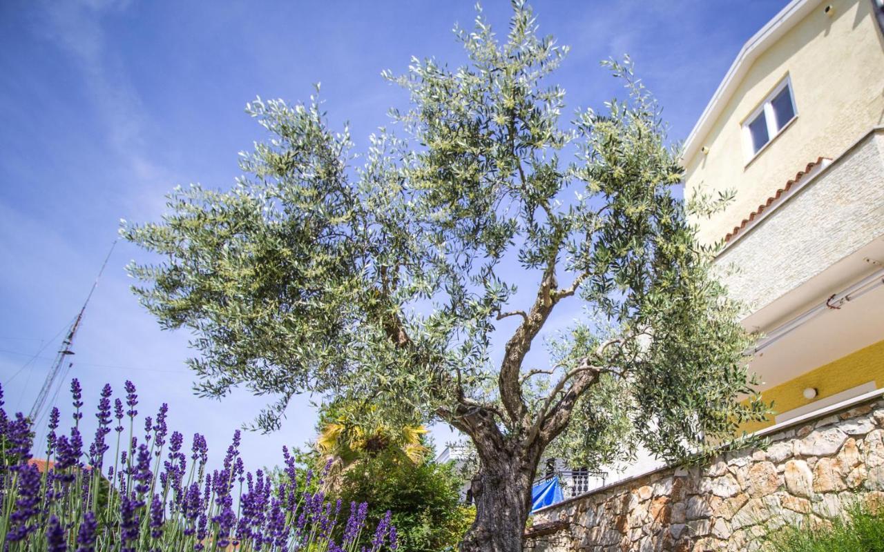 Apartments Balach Porec Exterior photo